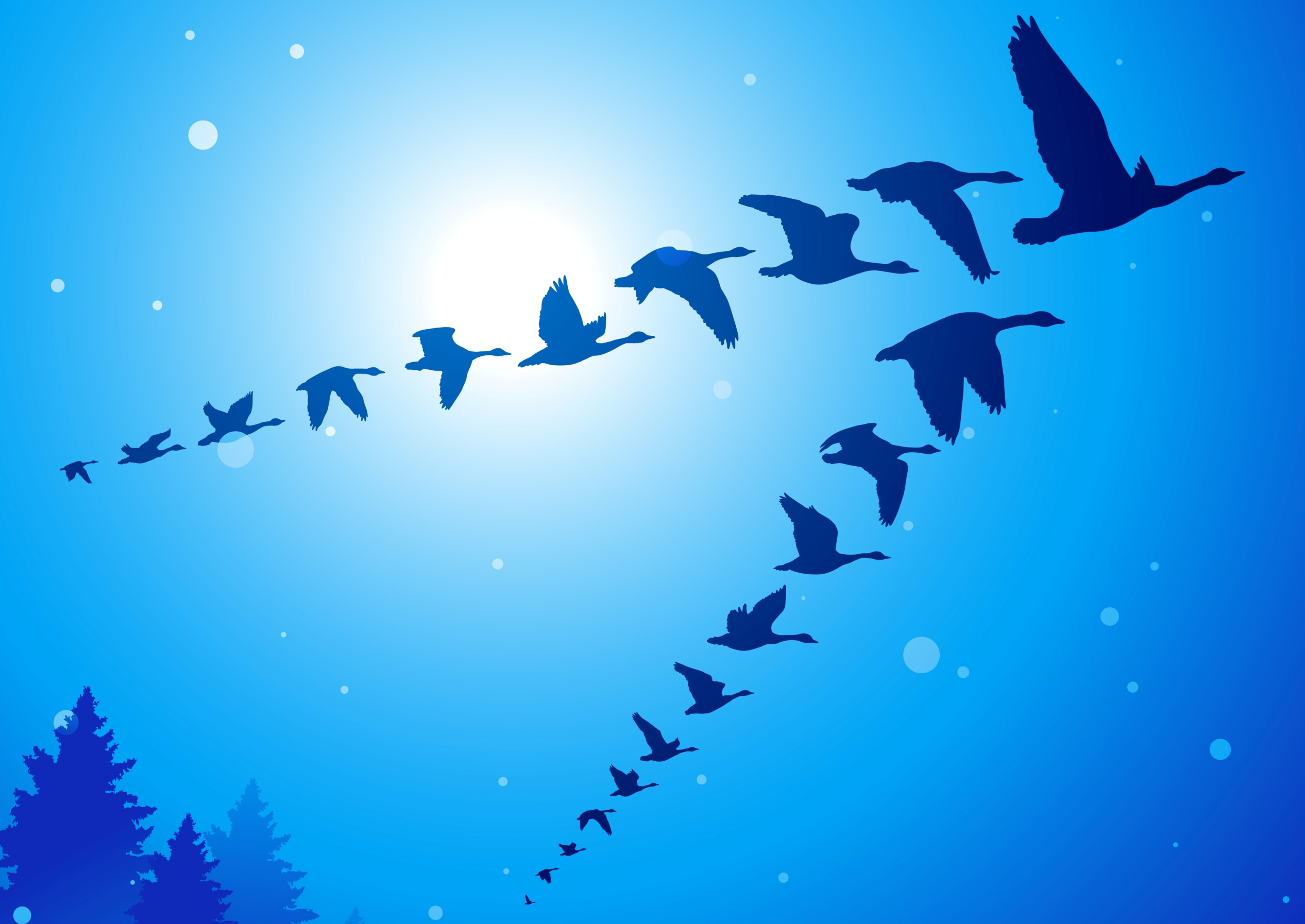 Geese-iStock-small